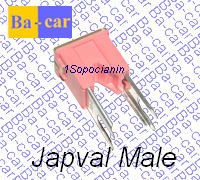 Japval Male